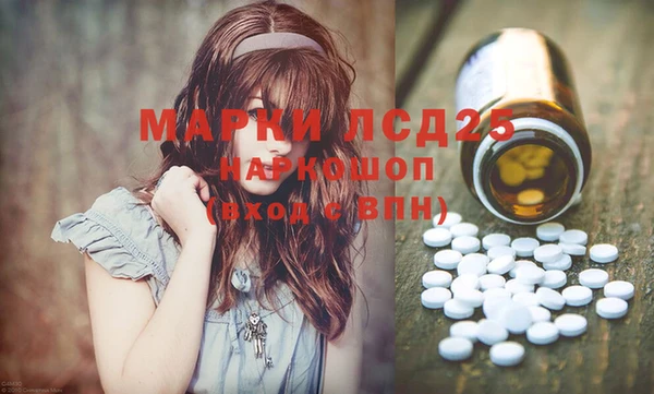spice Аркадак