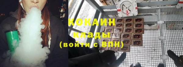 spice Аркадак