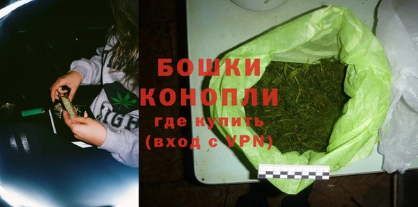 spice Аркадак